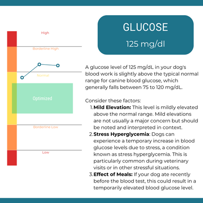 Longevity Plus Plan